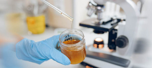 The Healing Power of Honey – Why Floney Uses Only the Best - Floney Nederland