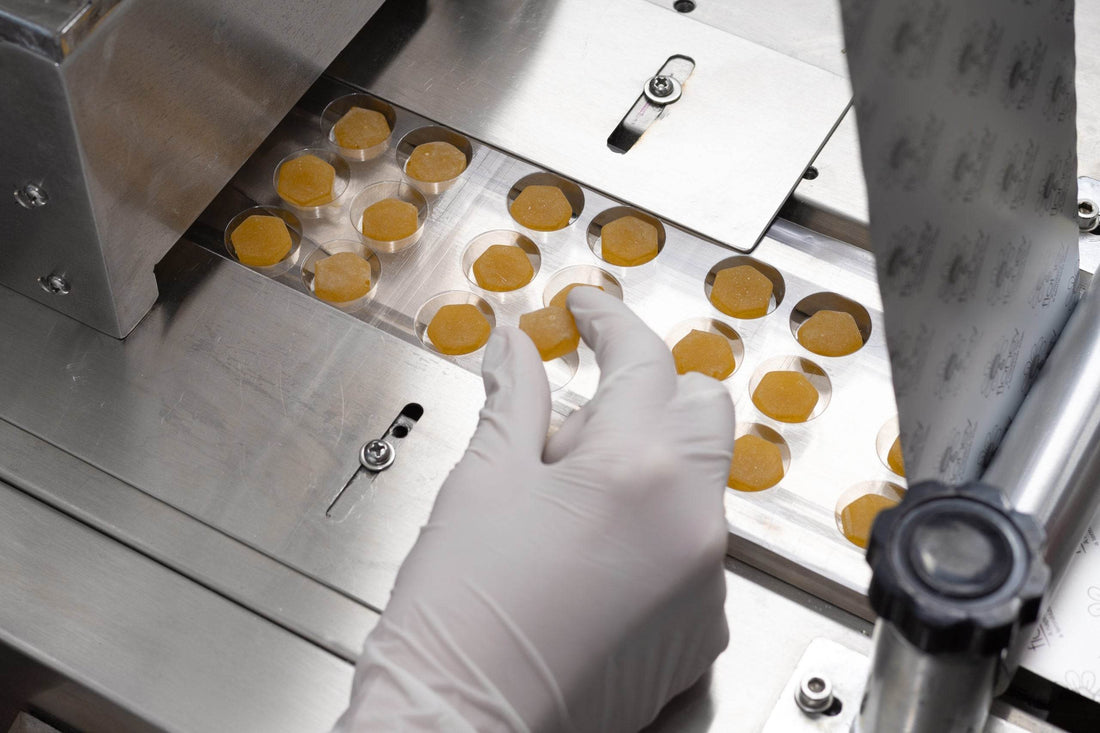 Science Meets Nature – Floney’s Unique Innovation in Honey Processing - Floney Nederland